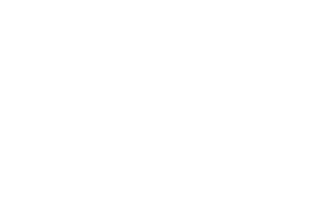 White Color Logo - Rhino Composite Pallets